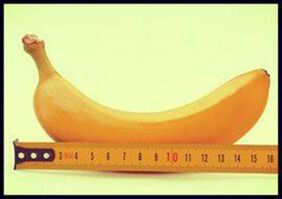 Extension of the male dignity