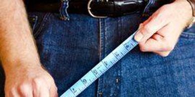 The dimensions of a man's genital organ