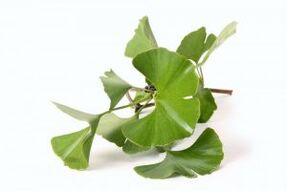 Ginkgo biloba for penis enlargement